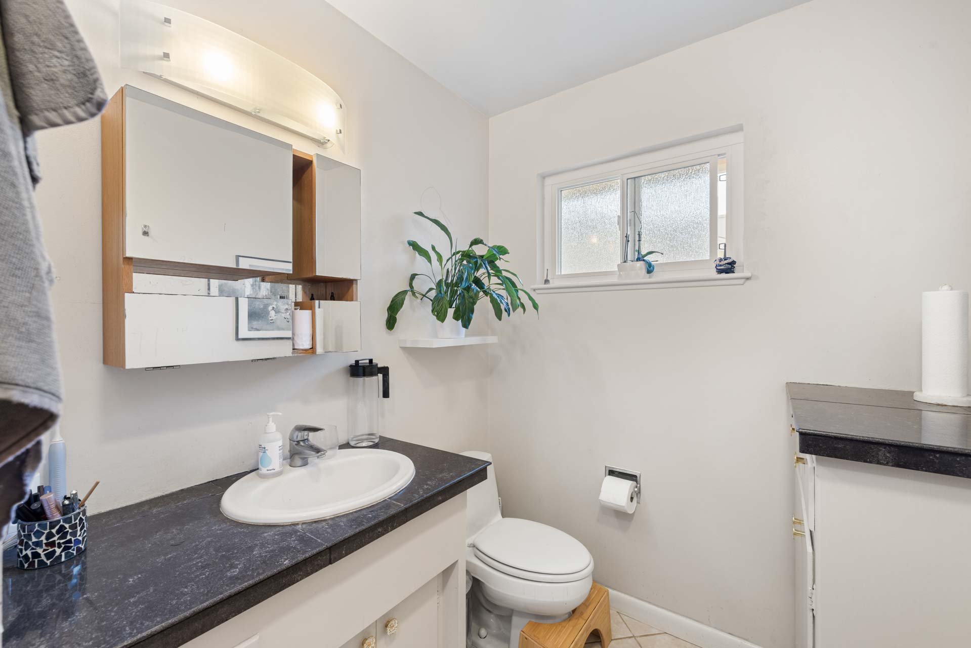 Outdated Sacramento bathroom featuring single vanity, toilet, and decorative plant by window