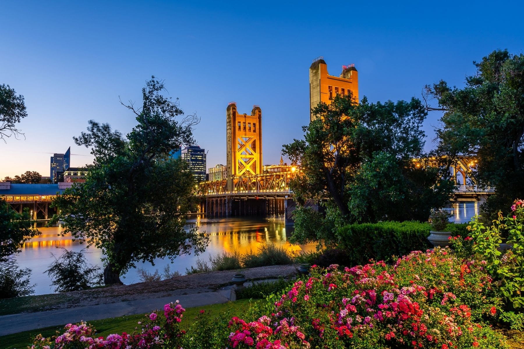 Tower Bridge illuminated at dusk over the river with flowers in bloom in West Sacramento, California Tower Bridge illuminated at dusk over the river with flowers in bloom in West Sacramento, California
